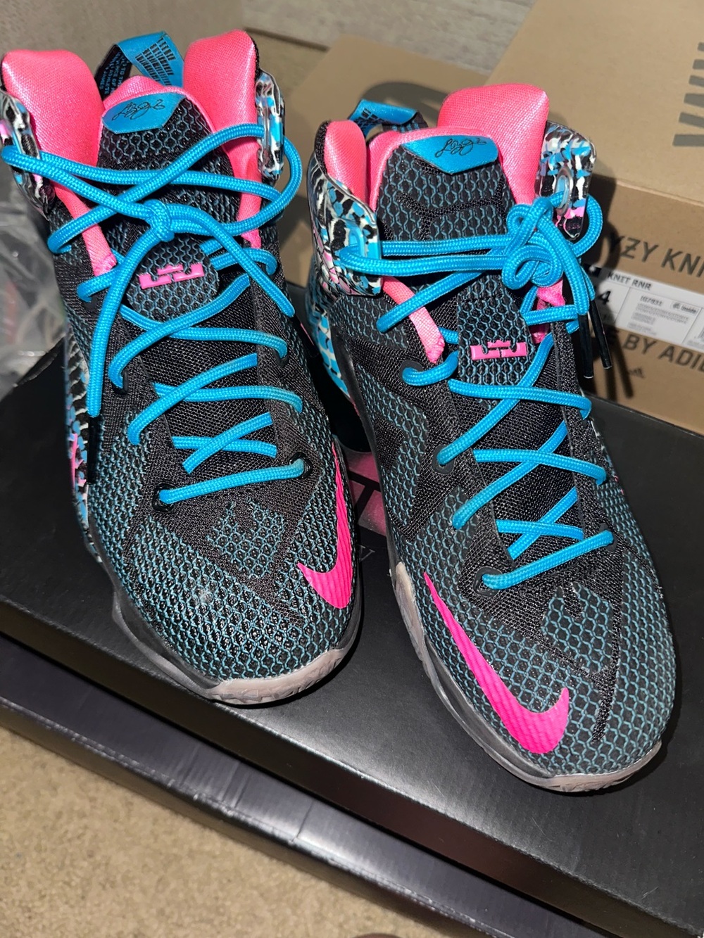 Nike LeBron 12s Shoes
